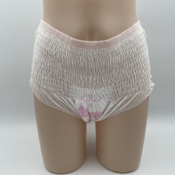 Period Underware Sanitary Night Pants